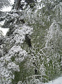 St Jacques 048.jpg St Jacques 048.jpg